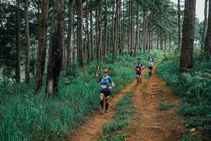 BIB: 
                            <button type="button" onclick="openModal(25659892)" class="btn btn-primary btn-sm float-right btn-popup" data-toggle="modal" data-target=".modal-high-quality">
                        <i class="fas fa-shopping-cart"></i> Add to Cart
                    </button>
                                            <button type="button" onclick="isThisMe(25659892, true)" class="btn btn-success btn-sm float-right btn-popup btn-isme hidden" data-toggle="tooltip" data-placement="bottom" title="นี่คือรูปของคุณใช่ไหม คลิกที่นี่เพื่อเอาเข้าอัลบั้ม">
                        <i class="fas fa-plus"></i> Add to album
                    </button>
                    <button type="button" onclick="isThisMe(25659892, false)" class="btn btn-warning btn-sm float-right btn-popup btn-isnotme hidden">
                        <i class="fas fa-ban"></i> Remove from album
                    </button>